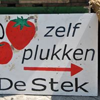 De Stek
