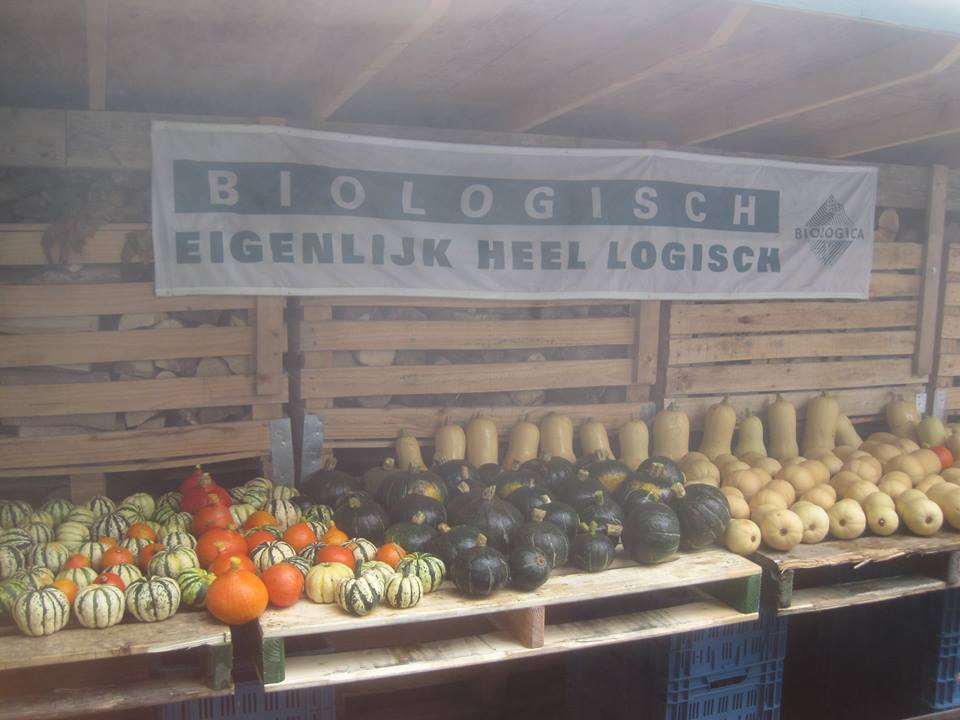De Stek