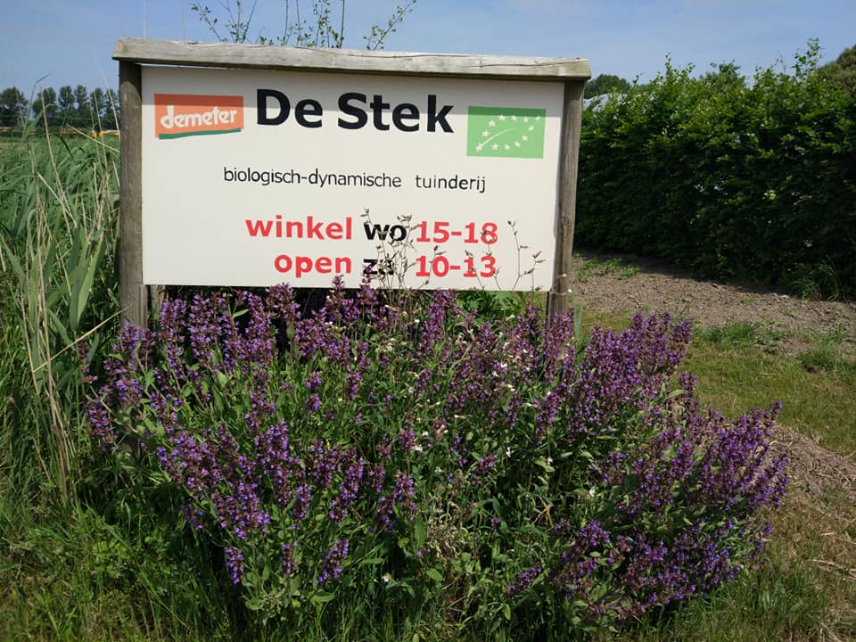 De Stek